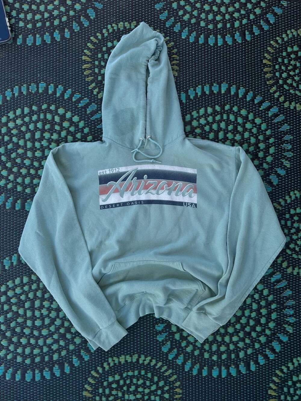 Arizona Desert Oasis Hoodie Size Medium